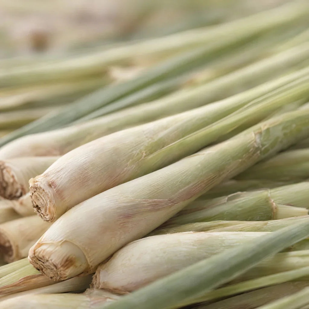 Lemongrass